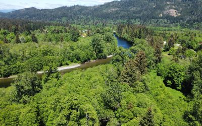 Xwésam (Salmon) River Estuary Floodplain Forest: A Conservation Win for Salmon Habitat